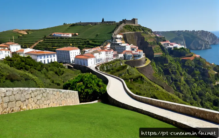 Como apresentar experiência prática em projetos de defesa do consumidor: critérios, portfólio e investimento em formação 4 소비자전문기술사 실무 프로젝트 경험 관련 이미지 2
